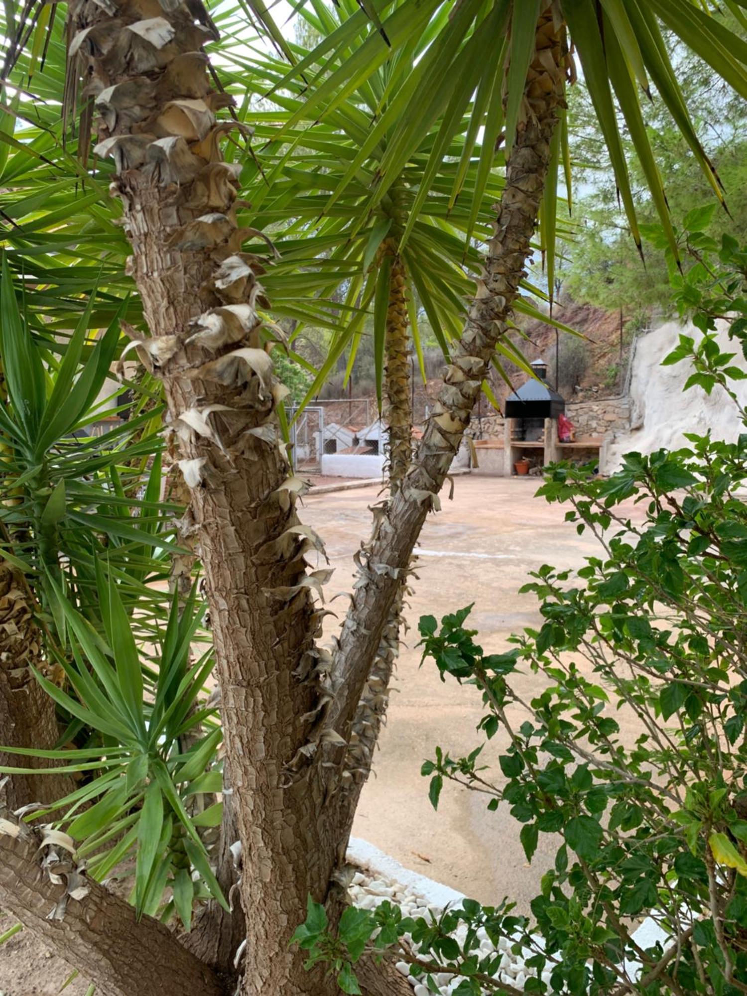 La Casa De La Fuensanta Villa Murcia Eksteriør billede
